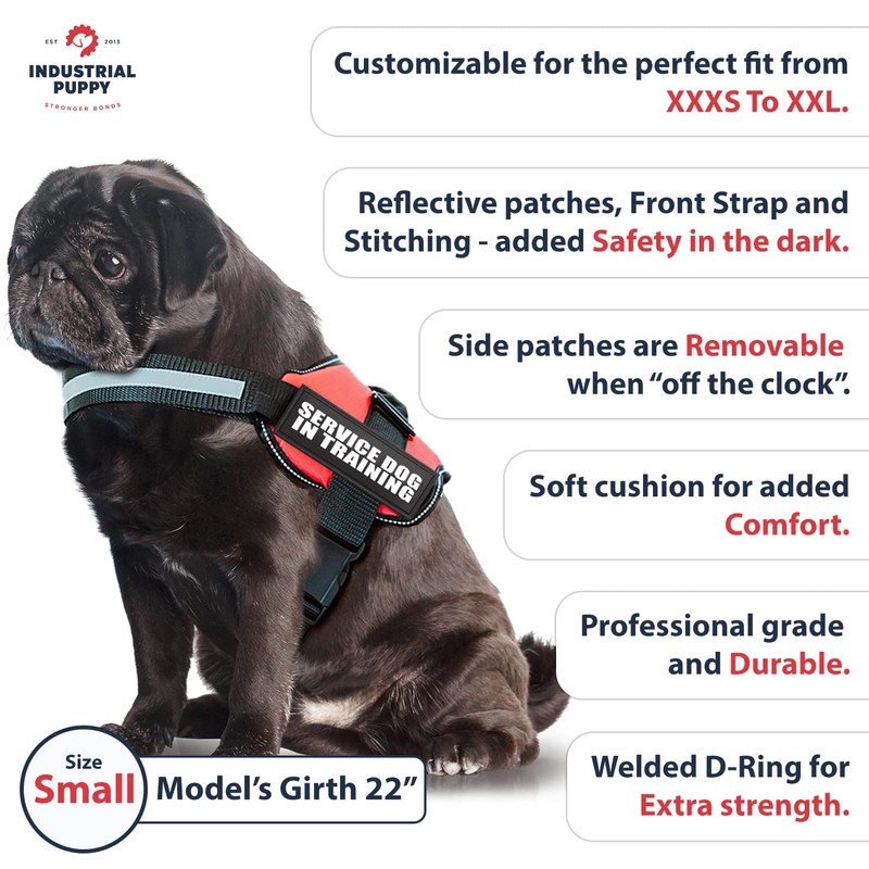 Service Dog in Training Vest with Hook and Loop Straps