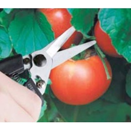 puru-man Gardening Scissor 195 mm Me – 195