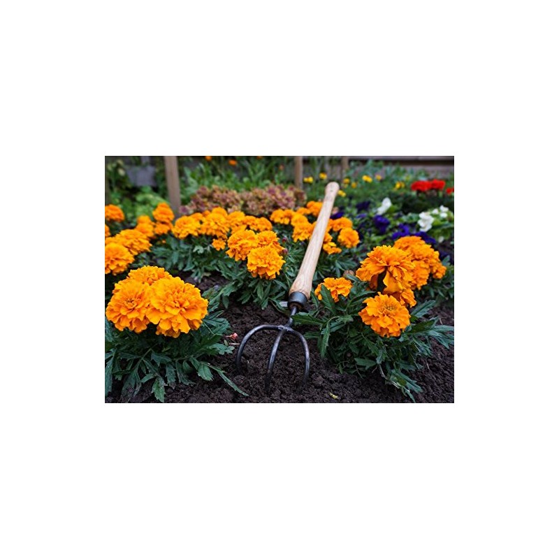 DeWit 3-Tine Cultivator with Drop Grip Handle, Works as Garden