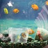 Bojueshaw Aquarium Fish Breeding Box,Acrylic Fish Hatching Incubator Box,Transparent Double-Layer
