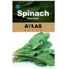 ATLAS Spinach -Atlas Green