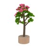 Miniature Tree Flowering 3.5 x 5.5 cm