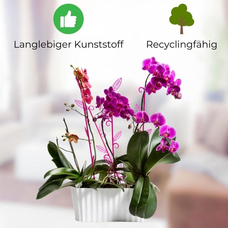 Plastia Triola Orchid Box, White