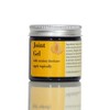 Joint Gel with Arnica, Aloe and Ginger (Small, 60ml)