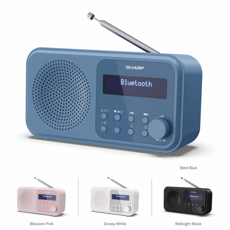 SHARP DR-P420 Portable Digital Radio (DAB/DAB+/FM with RDS, USB, Bluetooth