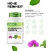 vit4ever Milk Thistle Artichoke Dandelion Complex - 365 Capsules |