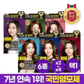 Lien 리엔 흑모비책 크림 염색약 120g 2개 or 4개 [6종 택1] [[0004]짙은갈색X2입] Rien Black Hair Coloring Cream 120g 2 or 4 packs [Select 1 of 6 types] [[0004] Dark Brown X2]