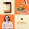 Hierro + Vitamina C | 200 Capsulas | Vitalbotanics