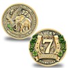 Lucky Charms Good Luck Charms Coin for Lottery Scratcher, Lucky