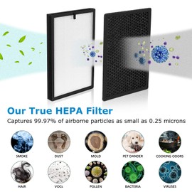 iSingo AirMax8L True HEPA Replacement Filter for Okaysou AirMax8L Air Purifier, 3-in-1Blue Ultra-Filter True HEPA Filter & 2-in-1 Duo-Filter Carbon Filter