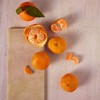 The Body Shop Satsuma Shower Gel, 25.3 Fl Oz