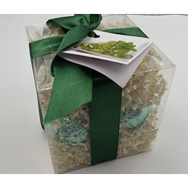 Spa Pure Coconut Bath Bombs: CREAMY COCONUT GIFT SET with 6 Bath Bomb Fizzies with Shea, Mango & Cocoa Butter, Ultra Moisturizing (14 Oz) Great for Dry Skin, All Skin Types (Creamy Coconut)