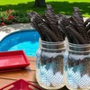 Delectably Rich Sugar Free Black Licorice -1.5 lbs A Guiltless