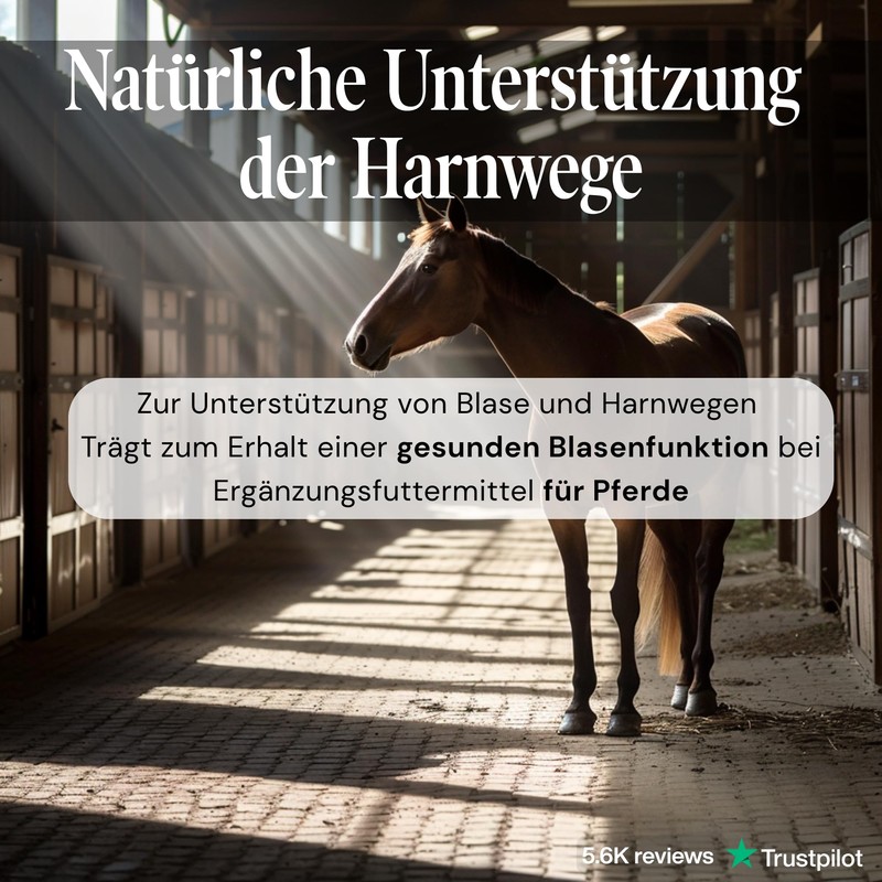 Sensipharm Urologist Aid Horse