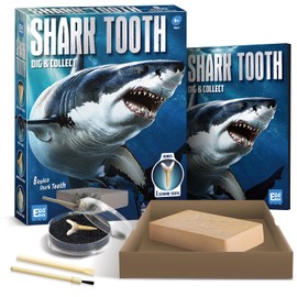 EggBox Shark Tooth Excavation and Collection Kit, 1 Real Shark Tooth and 8 Replica Shark Teeth for Boys and Girls Aged 6,7,8,9,10 and 12 Years