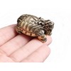DMtse Chinese Feng Shui Brass Mini Cute Dragon Turtle Decor