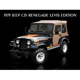 1979 Jeep CJ5 Renegade Levis Edition Metal Sign: 9x12" & Free Shipping