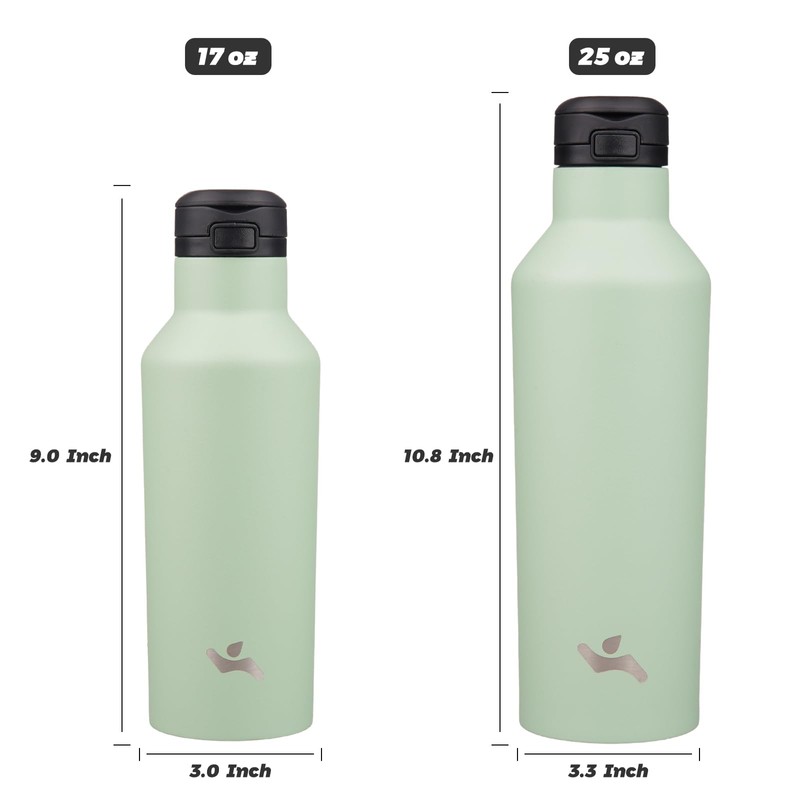 Insulated Water Bottle with Straw,17 OZ Double Wall Vacuum Stainless
