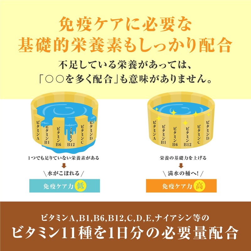 クエン酸【食用 国産 人工甘味料不使用】１包(6gあたり)[クエン酸 2,000㎎＋11種のビタミン ミックス1日分配合] 500ml用 ビタミンC 100mg サプリ 粉末