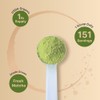 Organic Matcha Green Tea Powder - Culinary Grade & Unsweetened
