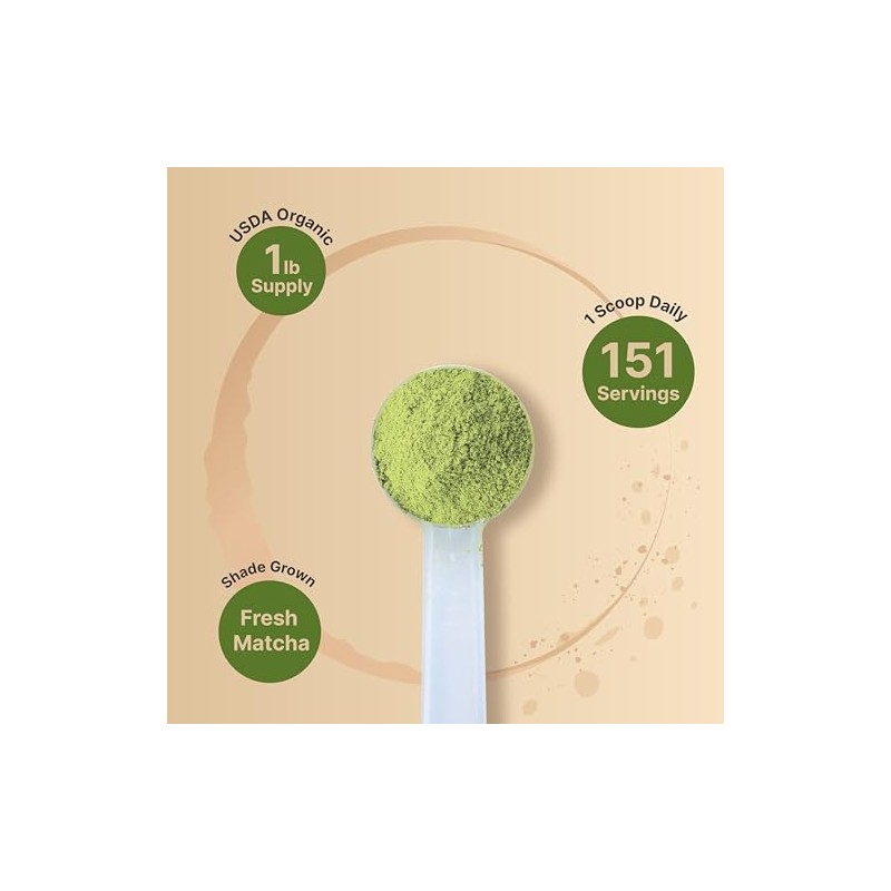 Organic Matcha Green Tea Powder - Culinary Grade & Unsweetened