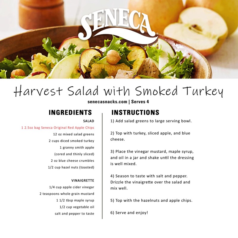 Seneca Original Apple Chips | Made from Fresh 100% Red