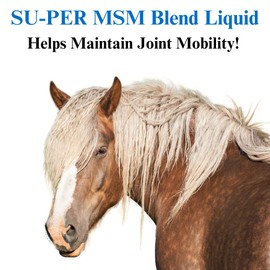 SU-PER MSM Blend Horse Joint Supplement - Helps Maintain Joint Mobility and Flexibility - 1 Gallon, 4 Month Supply