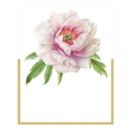 Caspari Blush Die-Cut Place Cards, 40 Included