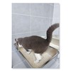 IKITCHEN Stainless Steel Cat Litter Box, Large Metal Litter Pan