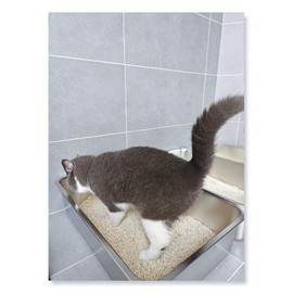 IKITCHEN Stainless Steel Cat Litter Box, Large Metal Litter Pan for Cats, Kitty Litter Box Never Absorbs Odors, Low Side Entry Non Stick, Easy Clean 17.5 x 13.5 x 4 inches