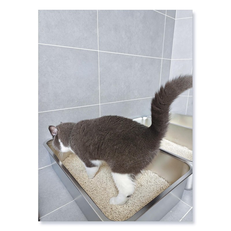 IKITCHEN Stainless Steel Cat Litter Box, Large Metal Litter Pan
