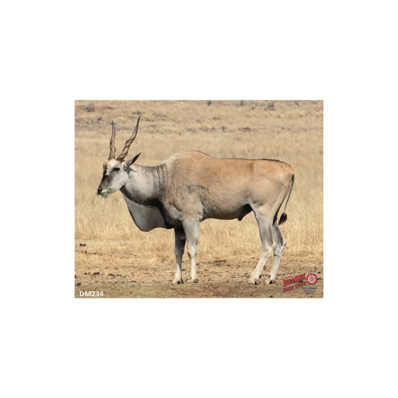 Duramesh Archery Targets Eland, DM 234