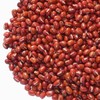 Hokkaido Toyomi Dainagon Azuki bean Azuki bean Azuki Dainagon Azuki