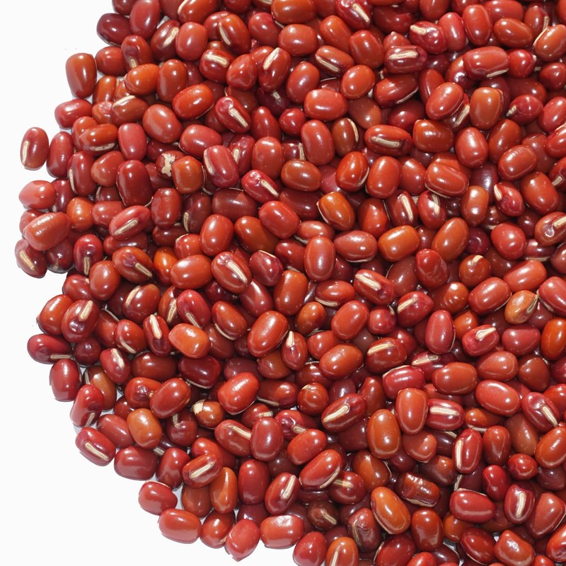 Hokkaido Toyomi Dainagon Azuki bean Azuki bean Azuki Dainagon Azuki