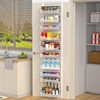 VyGrow Over the Door Pantry Organizer, 10-Tier Over the Door