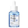 웰라쥬 리얼 히알루로닉 블루 100 앰플, 30ml, 1개 Wellage Real