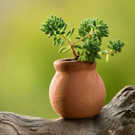 POPETPOP Terracotta Pots - 4pcs Cactus Cotta Flower Pots Succulent Nursery Clay Pots Great for Plants,DIY Crafts, Wedding Favor