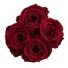 Rosmarie Schulz Heidelberg Rose Box, White Round Infinity Rose, Flower