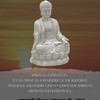 Bellaa Meditating Buddha Statue, 12" inch, Zen Garden, Japanese Sitting