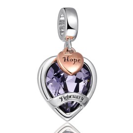 AMATOLOVE Love Heart February Birthstone Charms for Bracelets Valentines Day Bead Charm Hope Charm for Her Mum Girlfriend Wife