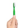 GUM Classic - cepillo para polvo de dientes suave, cabezal