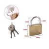 CABLEPELADO Solid Brass Gold Tone Padlock Brass Padlock Security Lock