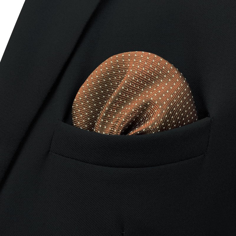[S&W SHLAX&WING] Men's Necktie Brown Copper Formal Neck Tie Set