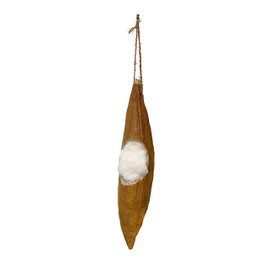 Penn-Plax Kapok Pod for Small Animals – Meets and Satisfies The Various Chewing and Nesting Needs of Tiny Critters