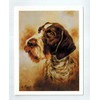 German Wirehaired Pointer Head Study Notecards 12 Note Cards w/Envelopes