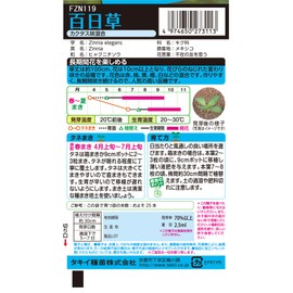 takii種苗 Hummingbird Cactus (Band) 咲 Mixed