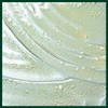 Aveda Scalp Solutions Tratamiento Capilar Exfoliante Limpiador