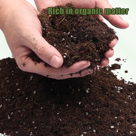 Doter Potting Soil Mix for Hoya 1qt, Custom Hand Blended Mixture Suitable for Indoor/Outdoor Potted Fern Plant