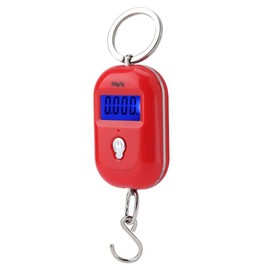 Electronic Digital Scale Portable Mini Pocket Key Chain Scale Kitchen Food Weight Gauge Measuring Tools with Hook 25kg/5g