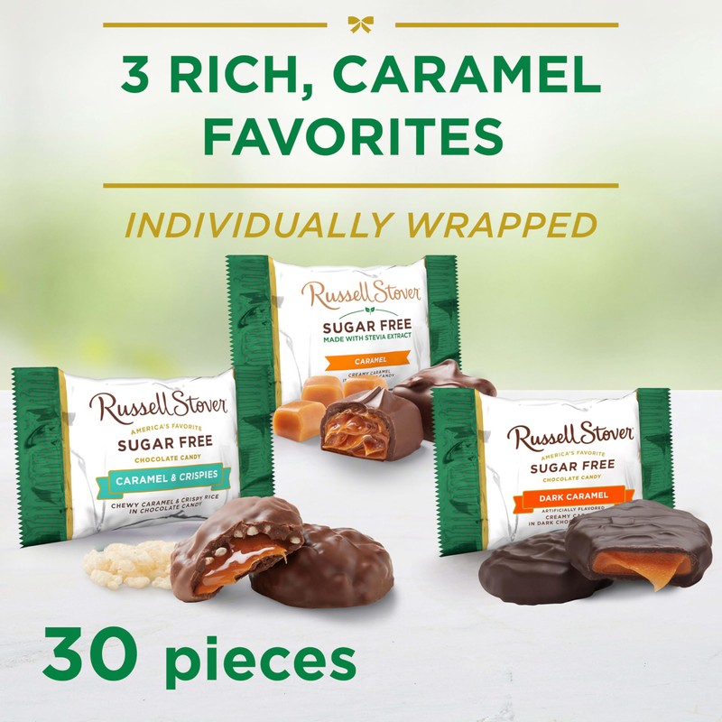 RUSSELL STOVER Sugar Free Assorted Caramels in Chocolate Candy, 15.3